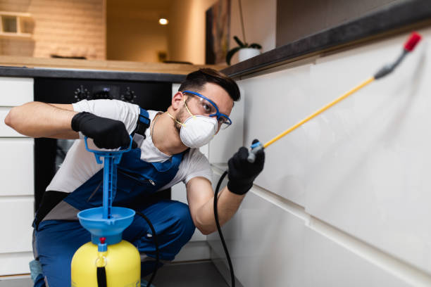 Best Wasp Removal Services  in Latta, SC