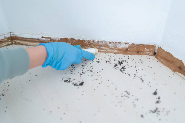 Professional Pest Control in Latta, SC
